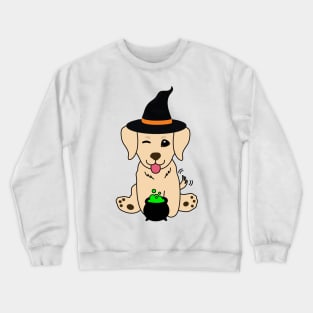 Cute retriever dog is a witch Crewneck Sweatshirt